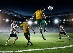 姚明出席榕,城举办的中,国女子篮球,ebpay,ebpay钱包,ebpay钱包官网下载