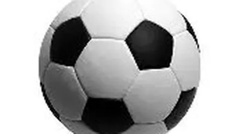 乒乓球界璀璨明星 ＞ 刘国正＞体育之星