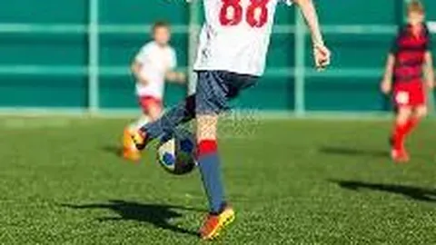 国内最大开闭顶体育场馆否认开闭顶费用高达数十万元