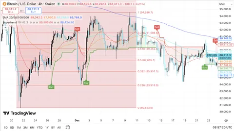 《细究字句》评选年度语言错误，足协表现尚可居首