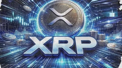 沈腾马丽再创佳绩！