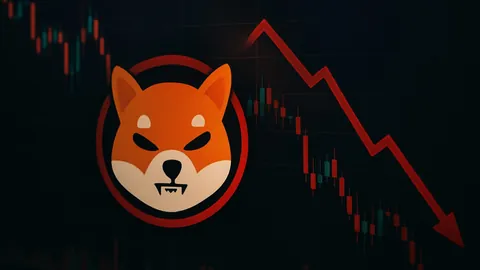 泰山队公布费莱尼感染新冠，17名密切接触者已隔离