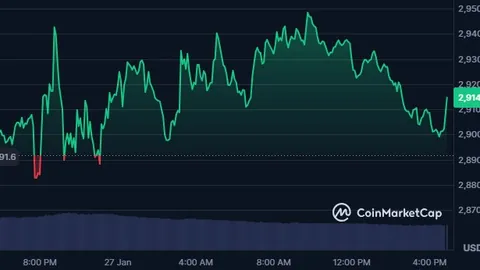 国税部门对郑爽偷税行为依法严惩，罚款总额达2.99亿